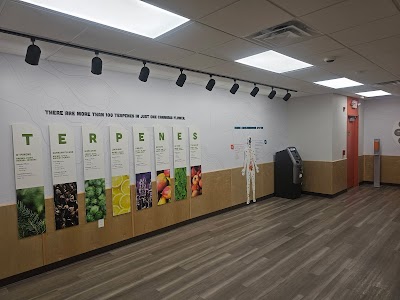 The Landing Dispensary