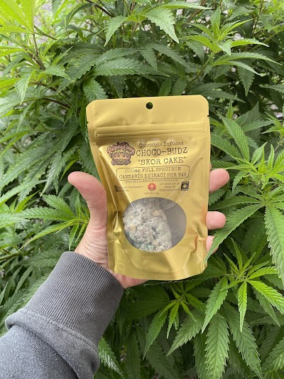 The Medicine Wheel Oka