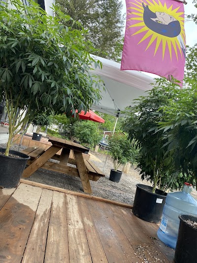 The Medicine Wheel Oka