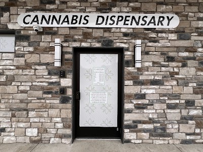 The Next Level Wellness