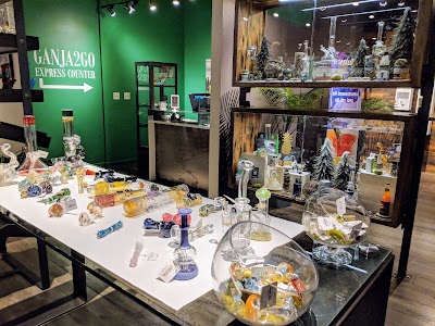 The Novel Tree | Bellevue Pot Shop