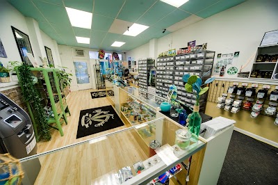 The Novel Tree | Bremerton Pot Shop