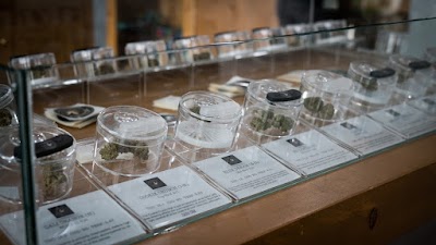 The Paseo Cannabis Collective
