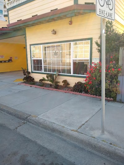 The Phog Center Pacifica Cannabis Company
