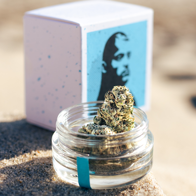 The Piping Plover: Recreational Cannabis Dispensary Wellfleet, Cape Cod