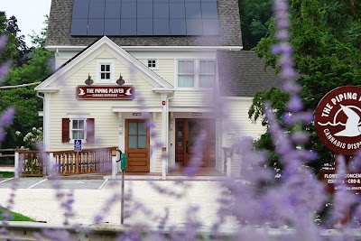 The Piping Plover: Recreational Cannabis Dispensary Wellfleet, Cape Cod
