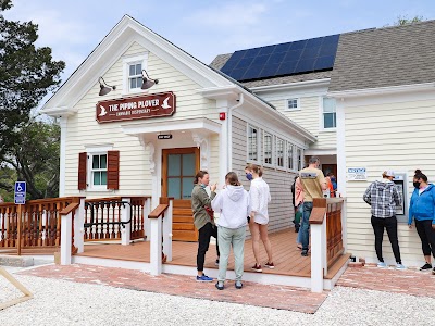 The Piping Plover: Recreational Cannabis Dispensary Wellfleet, Cape Cod