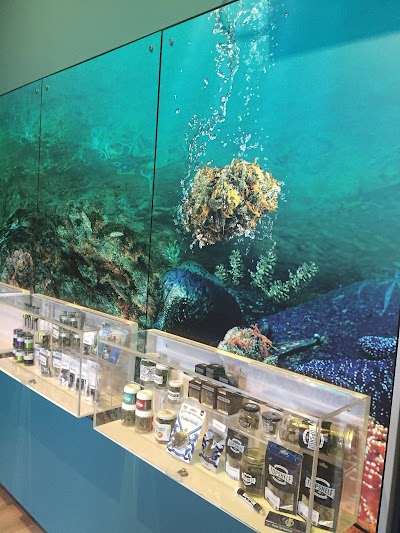 The Reef Cannabis Dispensary