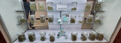 The Roots, Raspberry