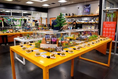 The Sanctuary Dispensary Sacramento