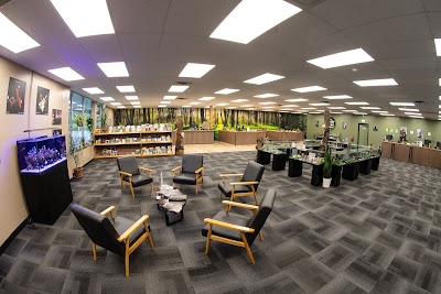 The Shady Grove Dispensary