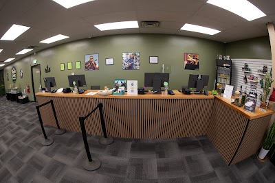 The Shady Grove Dispensary