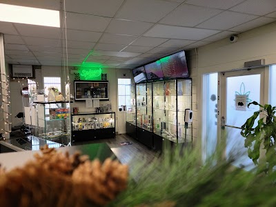 The Shore Cannabiz Shop