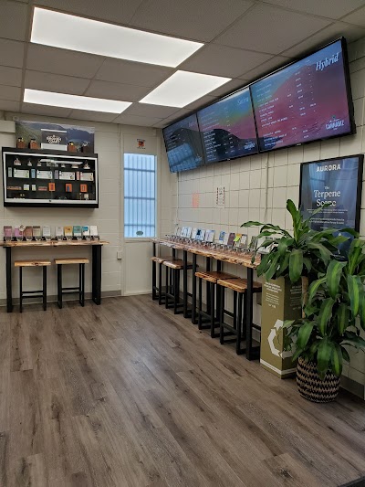 The Shore Cannabiz Shop