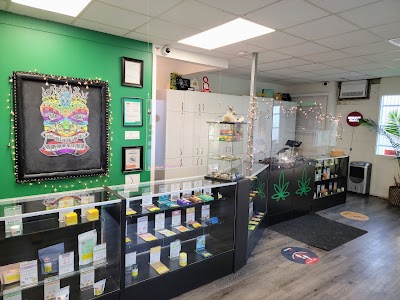 The Shore Cannabiz Shop