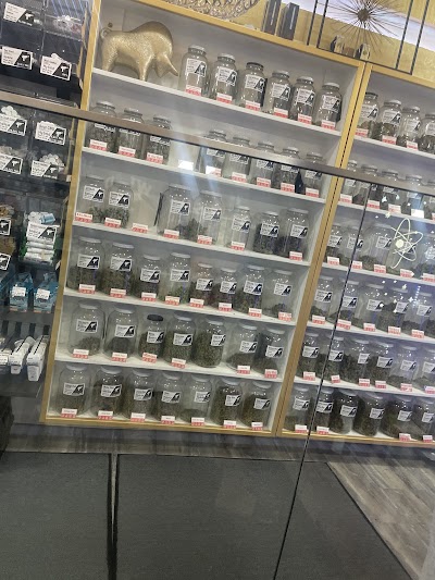 The Spot Cannabis Collective Ashland