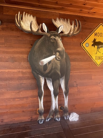 The Stoned Moose