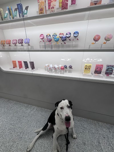 The Travel Agency: A Cannabis Store - SoHo