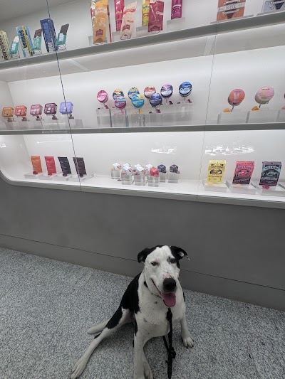 The Travel Agency: A Cannabis Store - SoHo