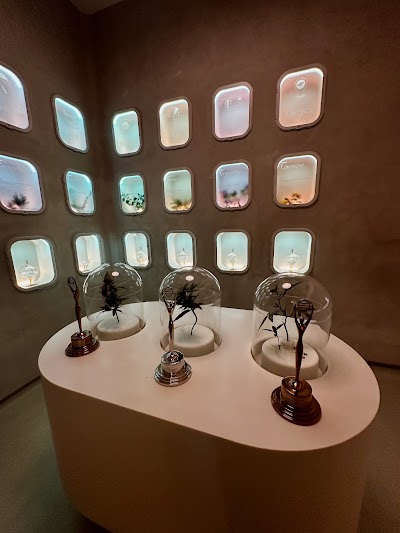 The Travel Agency: A Cannabis Store - Union Square