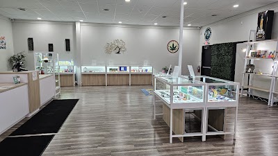 The village green Dispensary