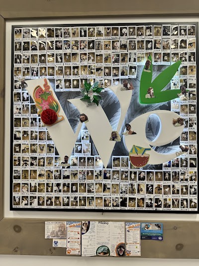 The We Store Cannabis & CBD Dispensary | Windsor | Huron Church Rd. | 60-Min Delivery