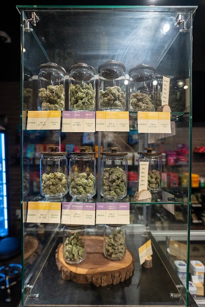 The Woods Detroit - Recreational Marijuana Dispensary
