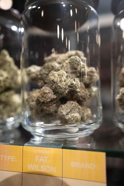 The Woods Detroit - Recreational Marijuana Dispensary