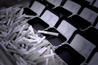 Theory Wellness: Medford Dispensary