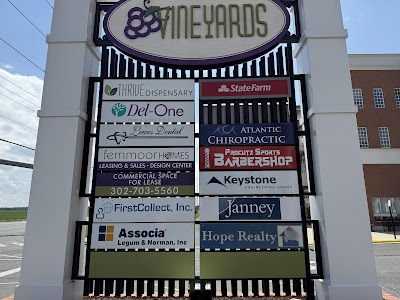 Thrive Dispensary Lewes