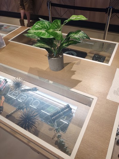 Thrive Dispensary Metropolis