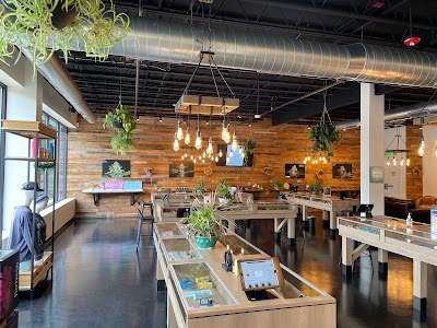 Thrive Dispensary Middleborough