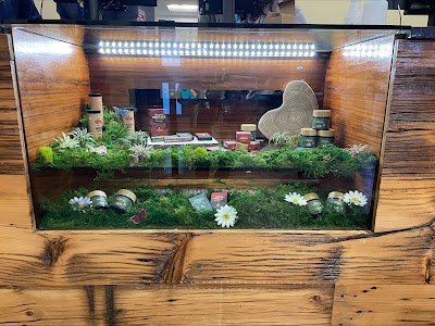 Thrive Dispensary Quincy