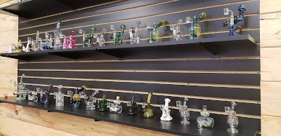 Today's Herbal Choice