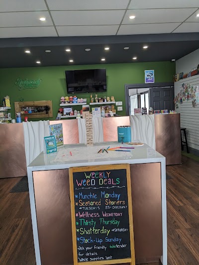 Toke Cannabis | Hamilton