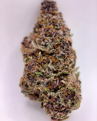 Token Cannabis Co (Medical)