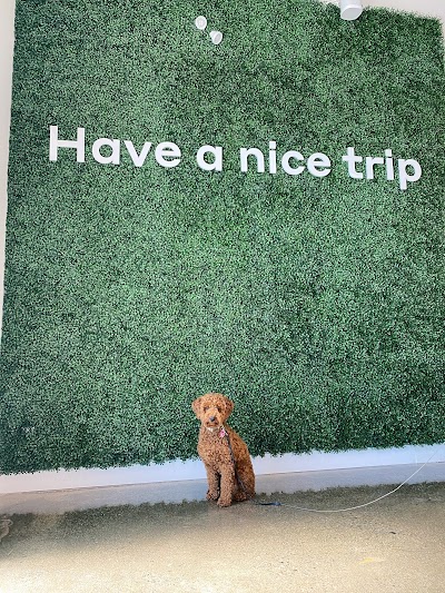 Tokyo Smoke Cannabis | Kingston 2790 Princess St