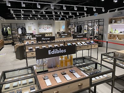 Tokyo Smoke Cannabis | Nicotine Vapes | Dauphin Main