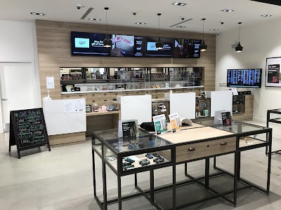 Tokyo Smoke Cannabis | Regina Quance