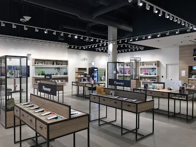 Tokyo Smoke Cannabis | Regina Quance