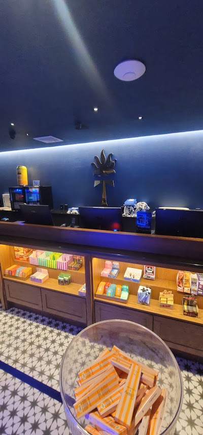 Torches NYC Dispensary