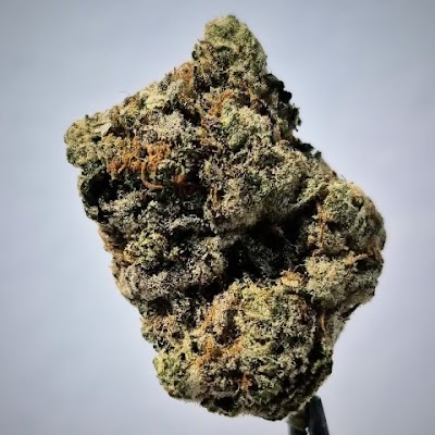 Toronto Weed Delivery | Prime Exotics |