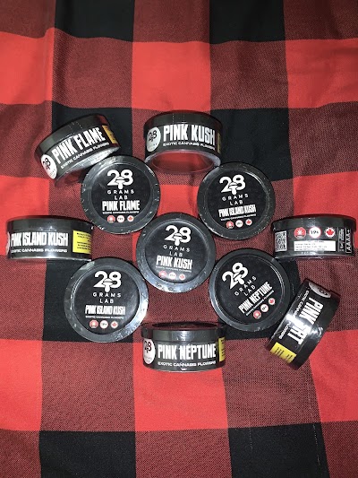 Torontos High Club Dispensary