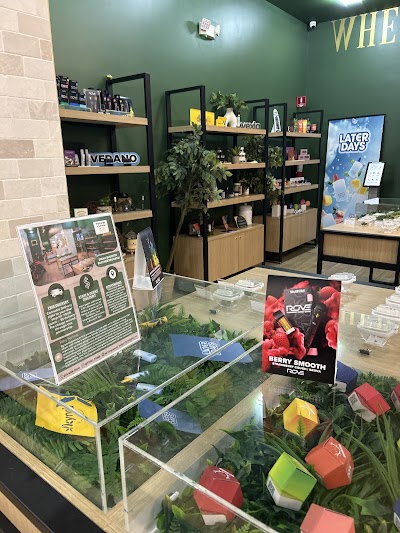 TOSD - The Other Side Dispensary