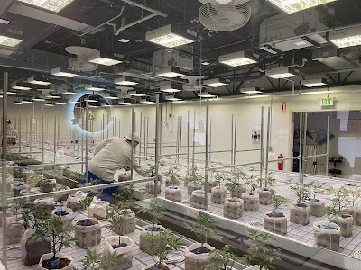 Trade Roots Dispensary Wareham