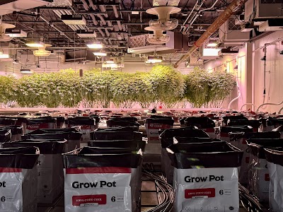 Trade Roots Dispensary Wareham