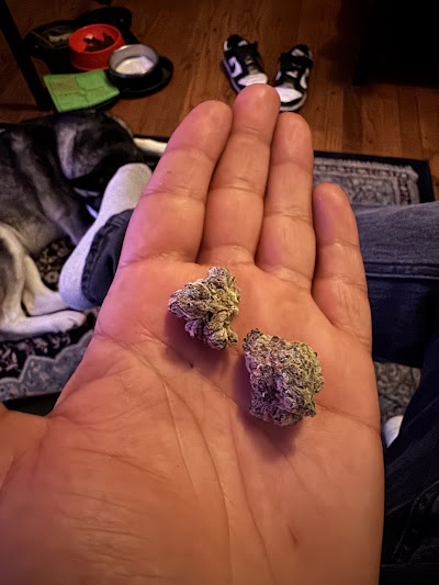 Traditional Mid-City - Cannabis Dispensary photo 4