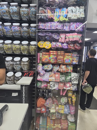 Trap Stars - New Buffalo