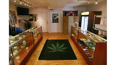 Treasure Tree Bozeman