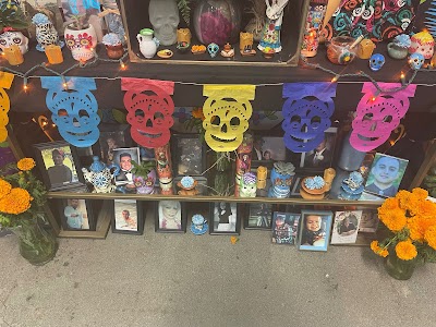 Tree Factory Dispensary and Delivery